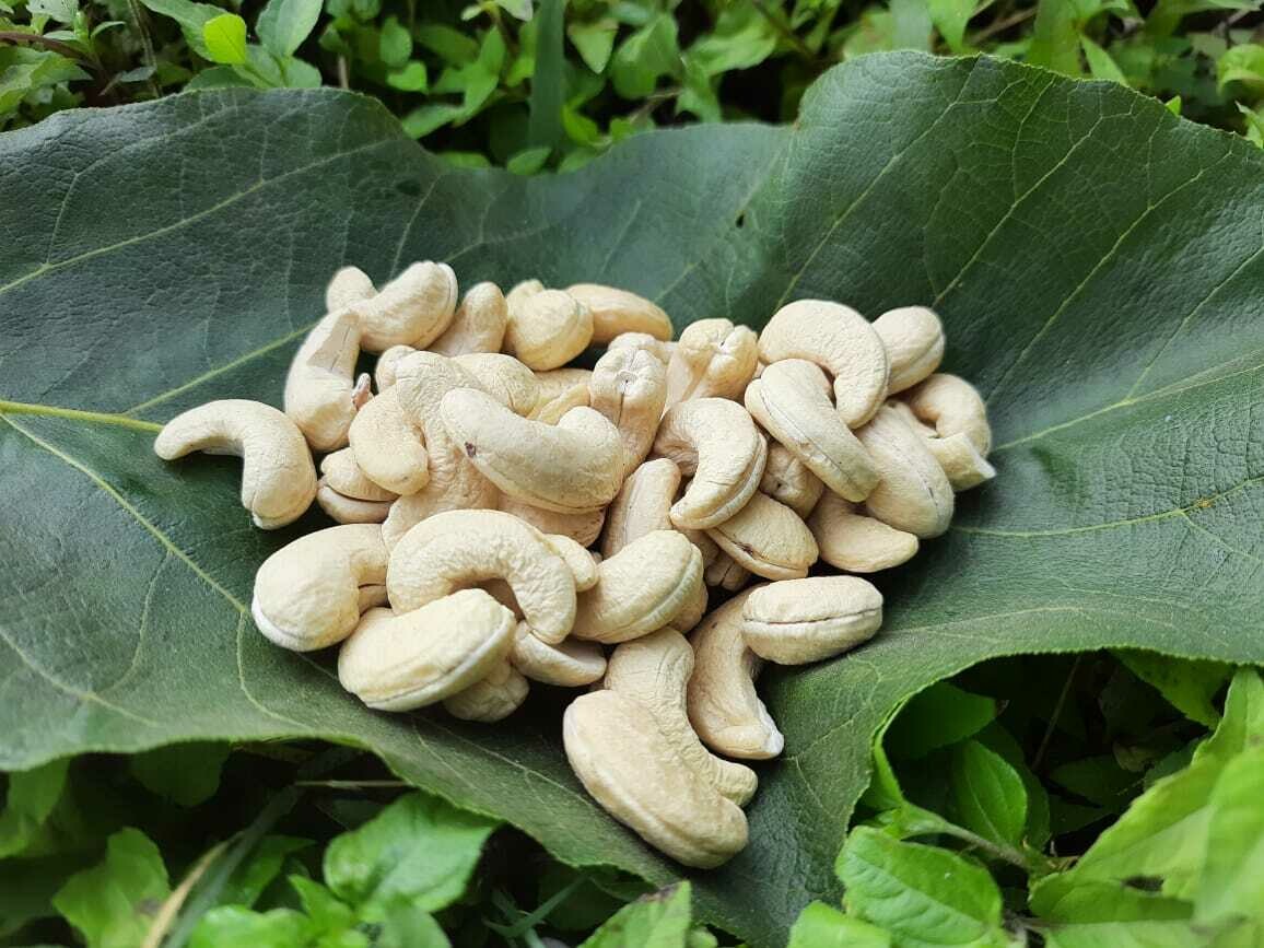 Cashew Nut, Whole (Wild) ಗೋಡಂಬಿ