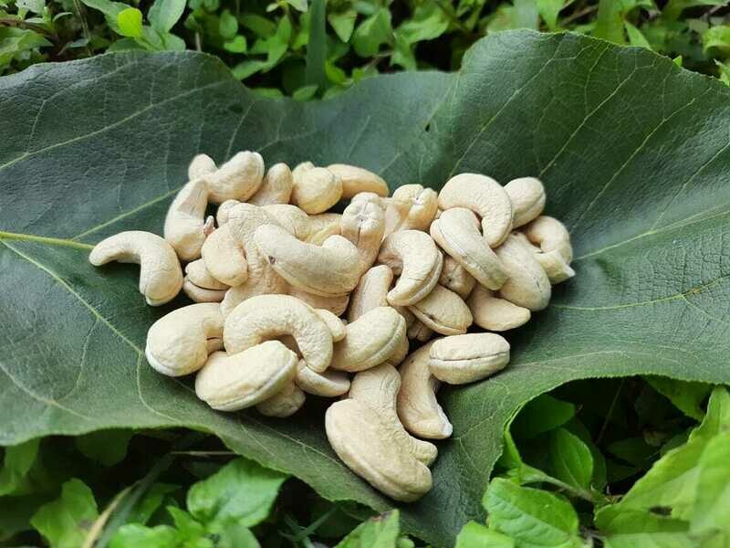Cashew Nut, Whole (Wild) ಗೋಡಂಬಿ Cashew Nut, Whole (Wild) ಗೋಡಂಬಿ