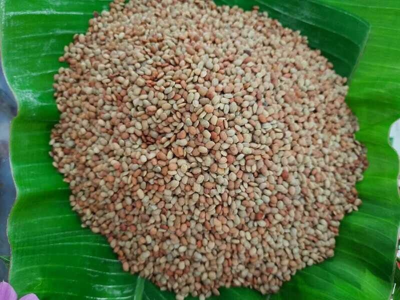Horse Gram (ಹುರುಳಿಕಾಳು)