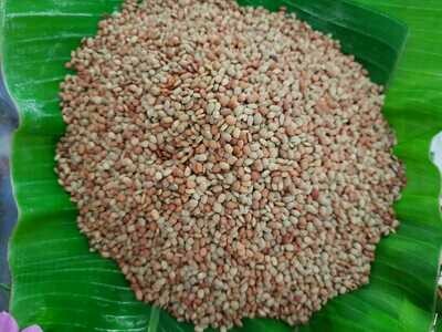Horse Gram (ಹುರುಳಿಕಾಳು)