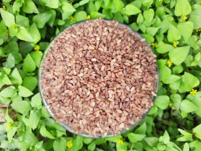 Boiled Rice/Kaje Kuchchlu (ಕುಚ್ಚಲಕ್ಕಿ)