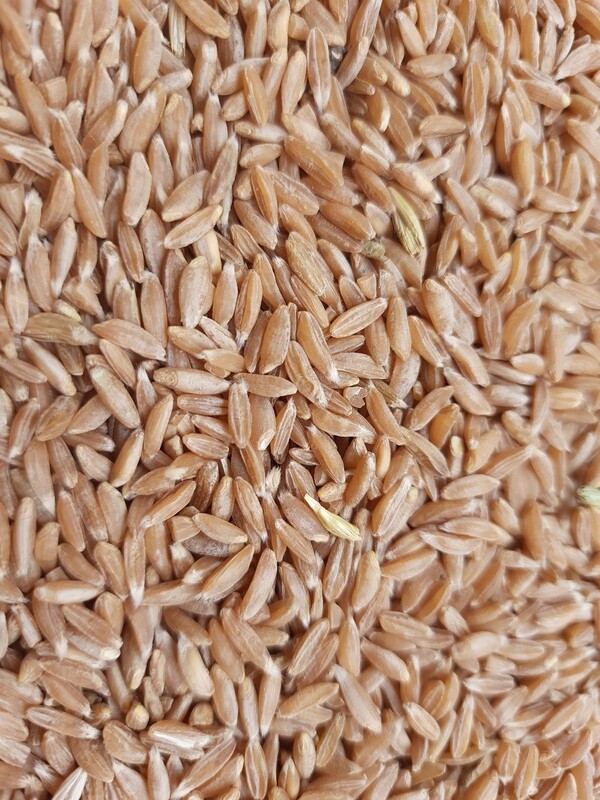 Jave Wheat Flour (ಜವೆ ಗೋಧಿ ಹಿಟ್ಟು)
