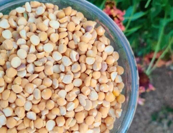 Bengal Gram (ಕಡ್ಲೆ ಬೇಳೆ)