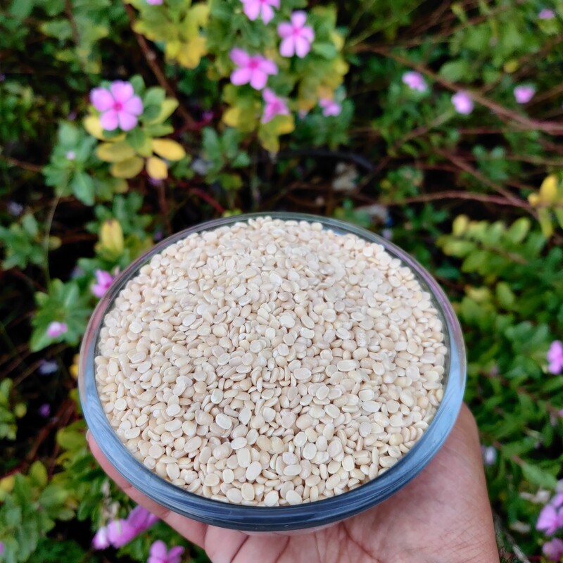 Black gram/Urad Dal without Husk (ಉದ್ದಿನ ಬೇಳೆ)