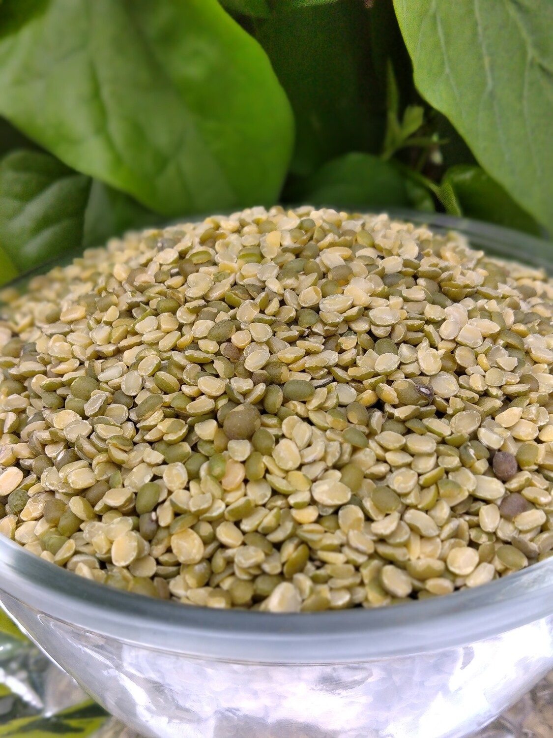 Green gram dal with husk ( ಸಿಪ್ಪೆ ಸಹಿತ ಹೆಸರುಬೇಳೆ)