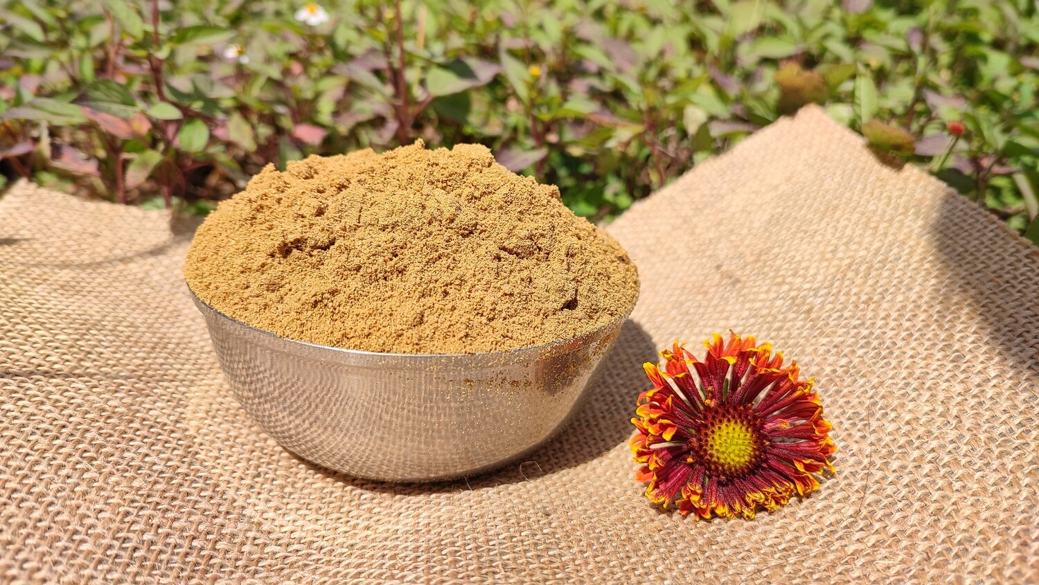 Coriander Powder (ಕೊತ್ತಂಬರಿ ಕಾಳು ಪುಡಿ)