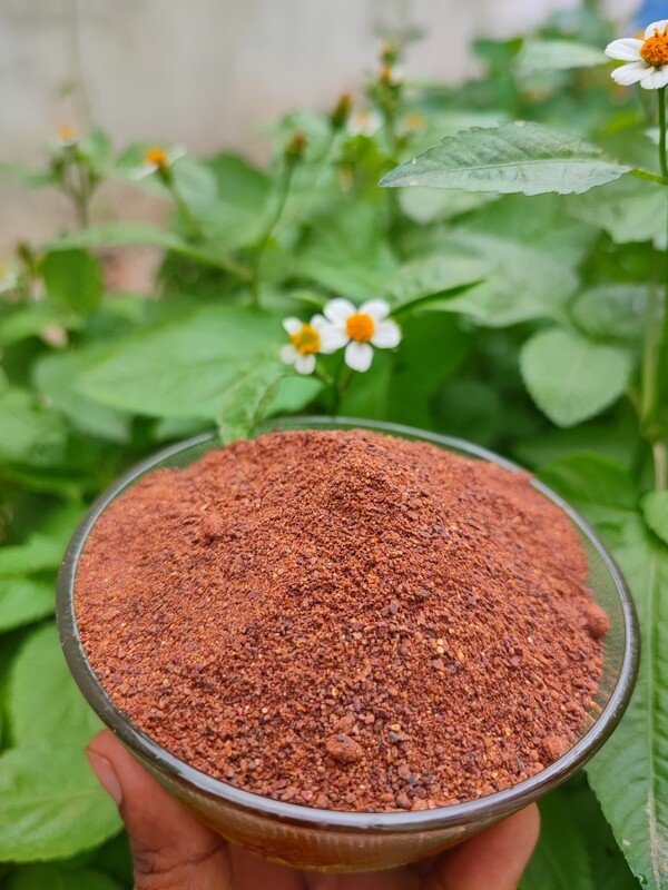 Monkey Jack (ವಾಟೆ ಹುಳಿ) Powder