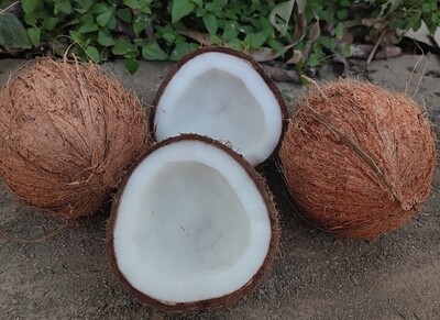 Coconut, Raw (ತೆಂಗಿನಕಾಯಿ)