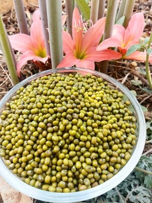 Green Gram Whole (ಹೆಸರು ಕಾಳು)