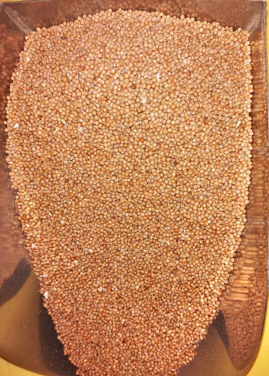 Finger Millet (ರಾಗಿ) (semi polish)