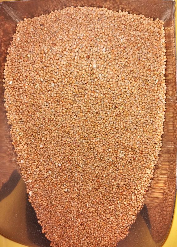 Finger Millet (ರಾಗಿ) (semi polish)