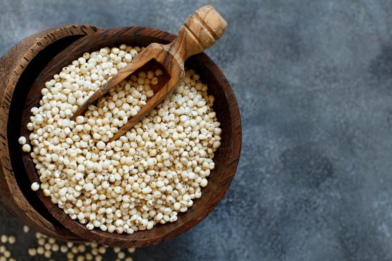 Sorghum Millet (Jowar)