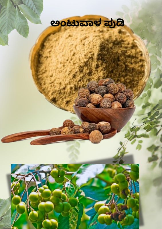 Antuvala Powder ( ಅಂಟುವಾಳ ಪುಡಿ) Antuvala Powder ( ಅಂಟುವಾಳ ಪುಡಿ)
