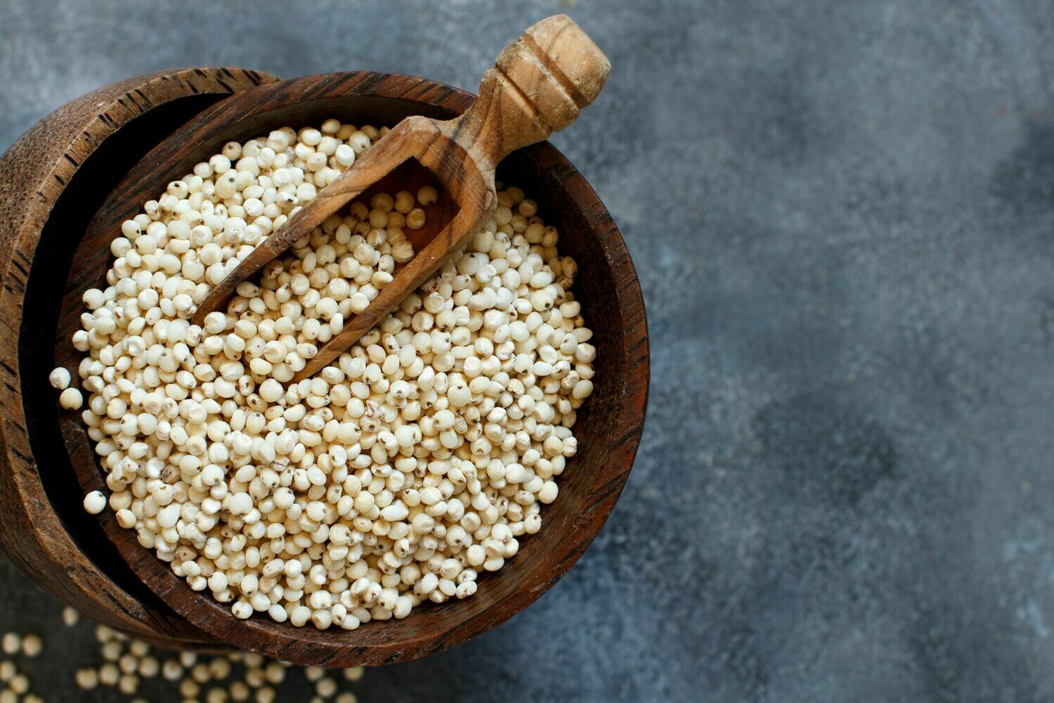 Sorghum Millet (Jowar)