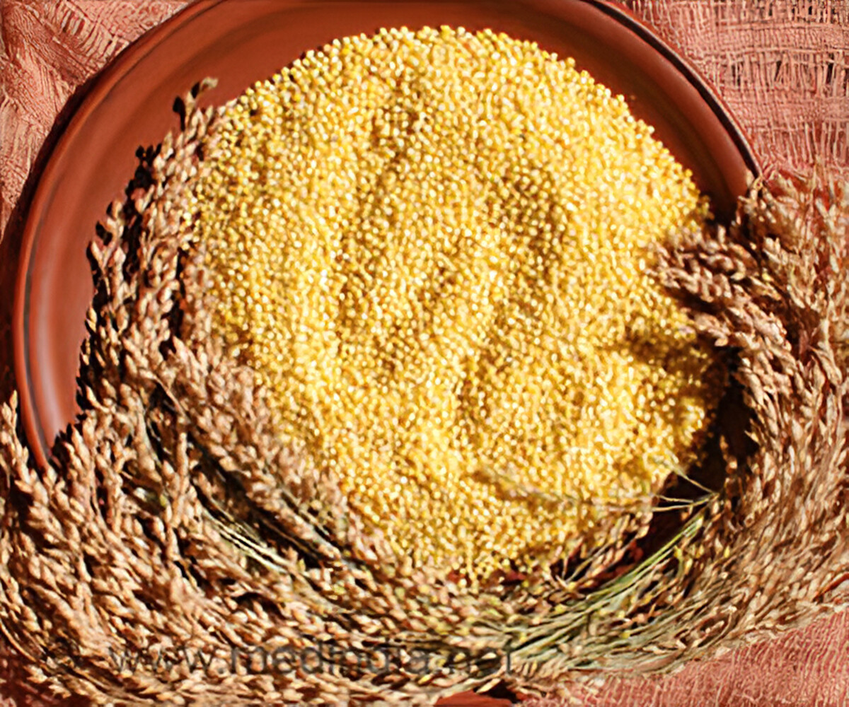 Little Millet (ಸಾಮೆ)