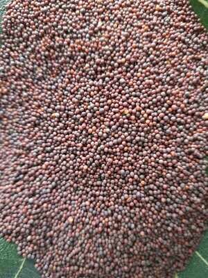 Mustard Seeds (ಸಾಸಿವೆ)