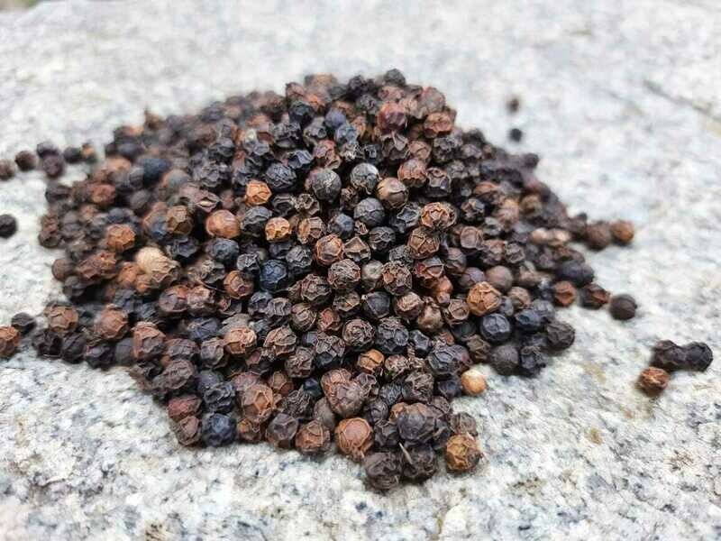 Black Pepper (ಕರಿಮೆಣಸು)