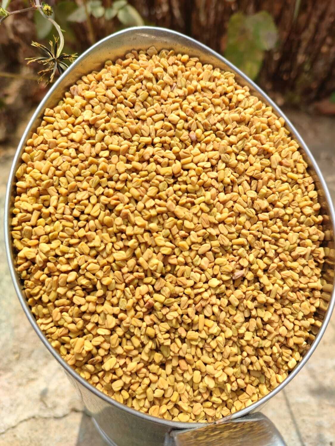 Fenugreek (ಮೆಂತ್ಯ)