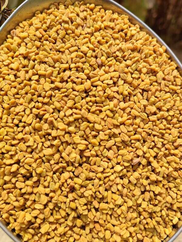 Fenugreek (ಮೆಂತ್ಯ)