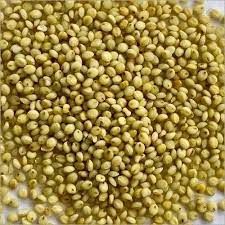 Millet - Brown Top (ಕೊರಲೆ)