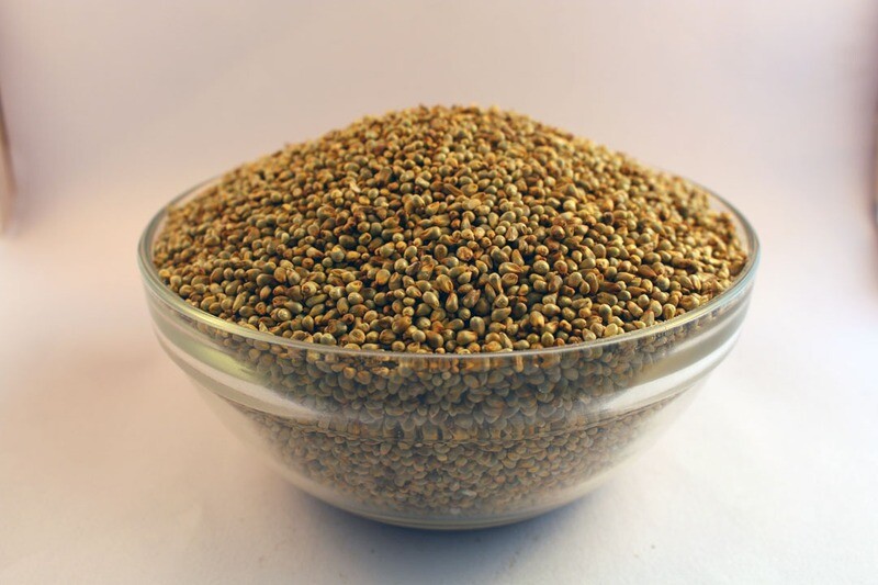 Pearl Millet (ಸಜ್ಜೆ) Pearl Millet (ಸಜ್ಜೆ)