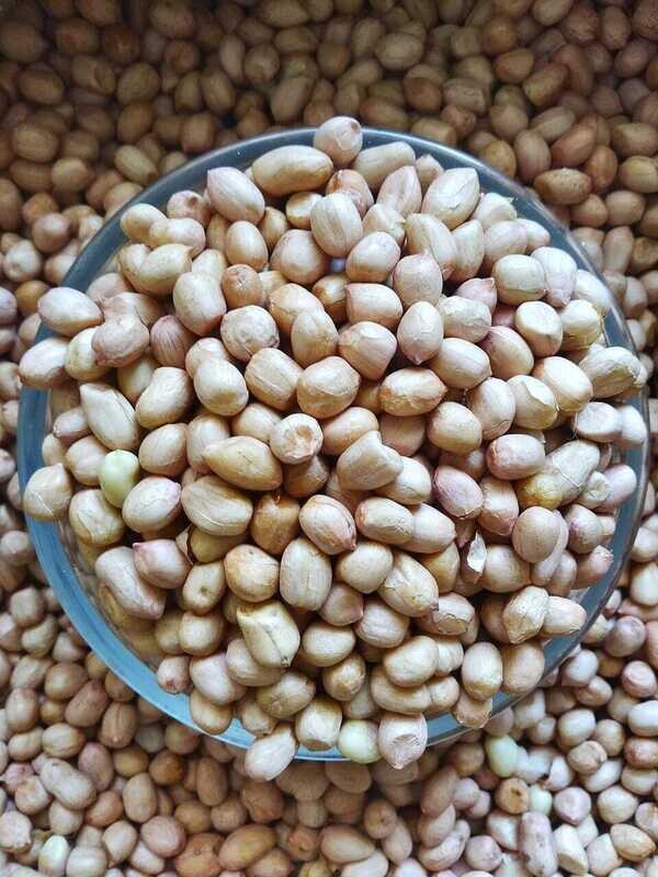 Groundnut (ಶೇಂಗಾ ಬೀಜ) Groundnut (ಶೇಂಗಾ ಬೀಜ)
