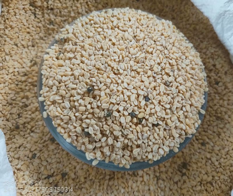 Hesaru Bele/Moong Dal (Unpolished) (ಹೆಸರು ಬೇಳೆ) Hesaru Bele/Moong Dal (Unpolished) (ಹೆಸರು ಬೇಳೆ)