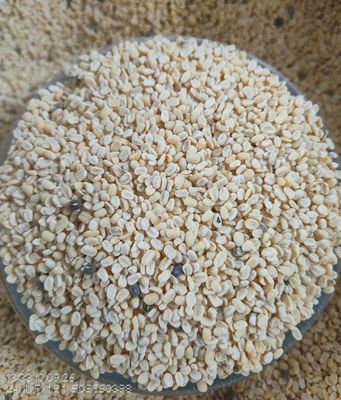 Hesaru Bele/Moong Dal (Unpolished) (ಹೆಸರು ಬೇಳೆ)