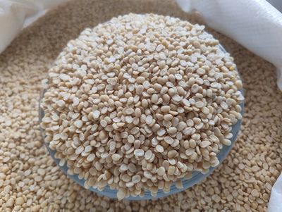 Black gram/Urad Dal without Husk (ಉದ್ದಿನ ಬೇಳೆ) Black gram/Urad Dal without Husk (ಉದ್ದಿನ ಬೇಳೆ)