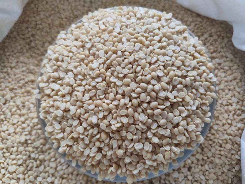 Black gram/Urad Dal without Husk (ಉದ್ದಿನ ಬೇಳೆ)