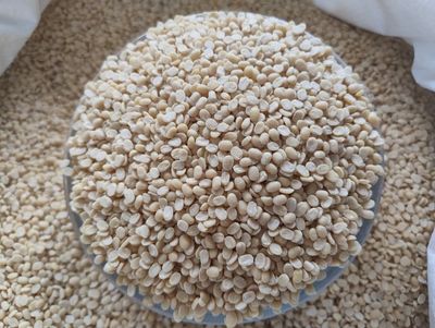 Black gram/Urad Dal without Husk (ಉದ್ದಿನ ಬೇಳೆ)