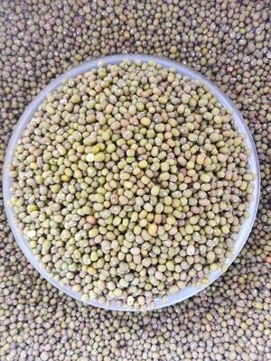 Green Gram Whole (ಹೆಸರು ಕಾಳು)