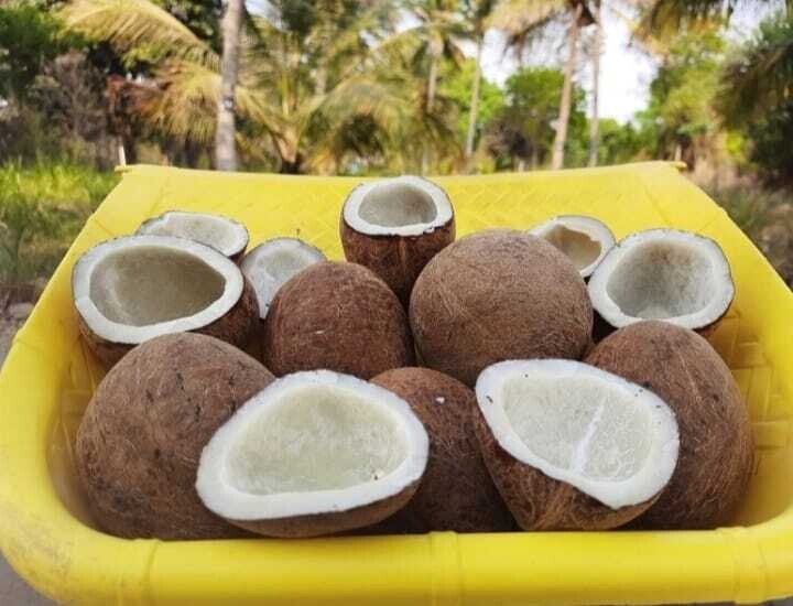 Copra ( ಕೊಬ್ಬರಿ)