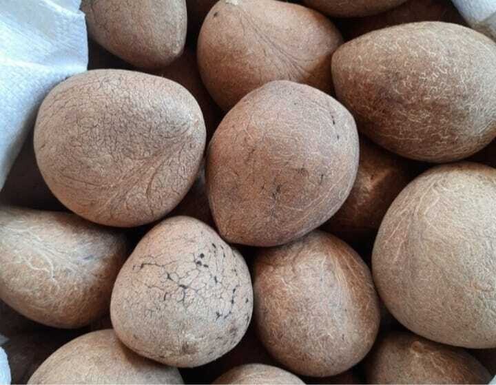 Copra ( ಕೊಬ್ಬರಿ)