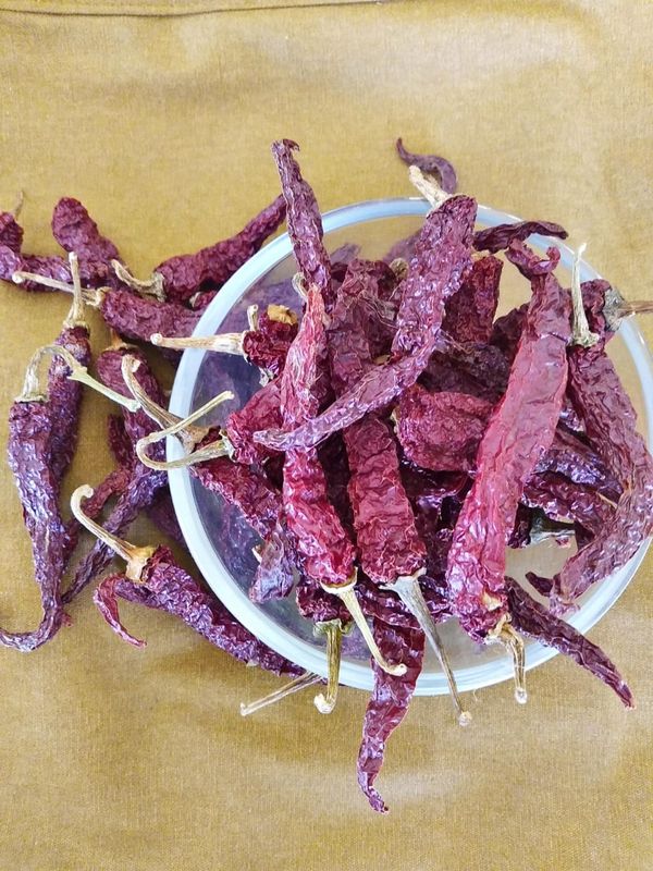 Dry Red Chilli/Byadagi (ಬ್ಯಾಡಗಿ)