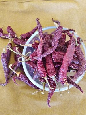 Dry Red Chilli/Byadagi (ಬ್ಯಾಡಗಿ)