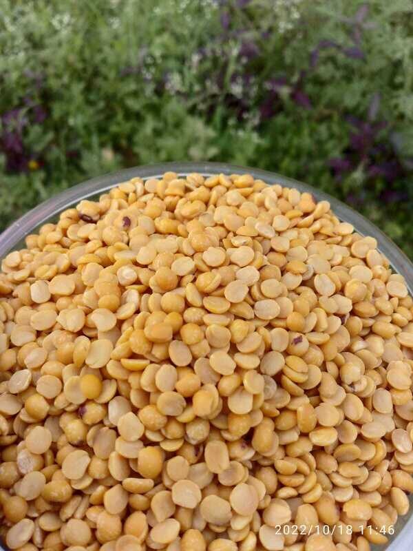 Toor Dal (ತೊಗರಿ ಬೇಳೆ) Unpolished