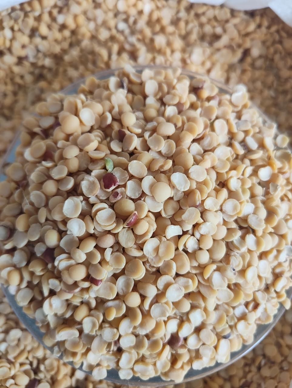Toor Dal (ತೊಗರಿ ಬೇಳೆ) Unpolished