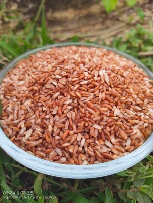 Red Rajamudi Rice ( ಕೆಂಪು ರಾಜಮುಡಿ ಅಕ್ಕಿ)