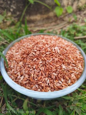 Red Rajamudi Rice ( ಕೆಂಪು ರಾಜಮುಡಿ ಅಕ್ಕಿ)