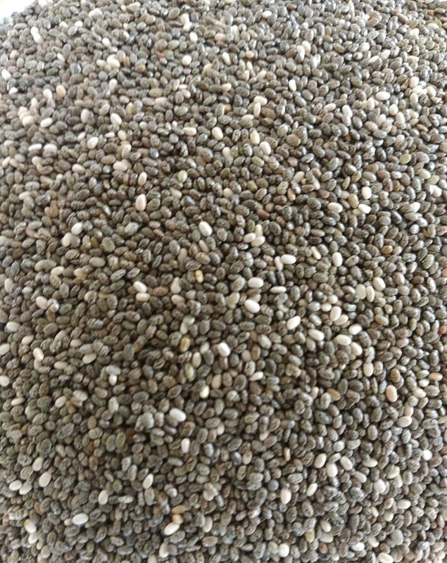 Chia Seeds