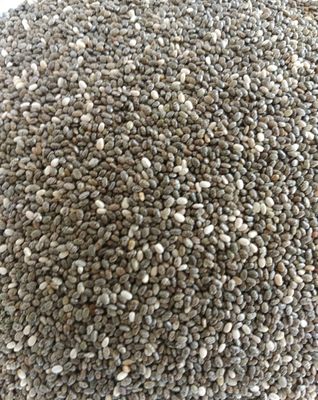 Chia Seeds