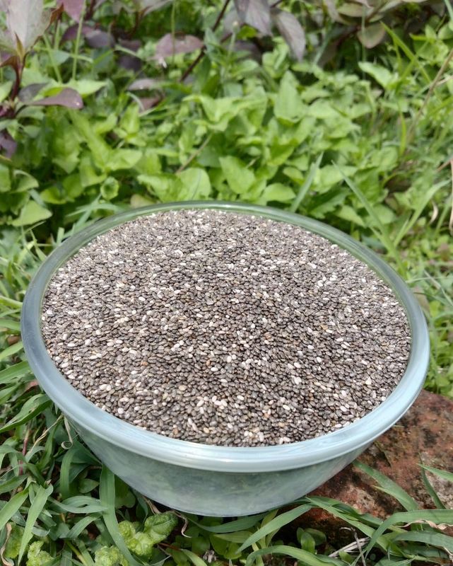 Chia Seeds Chia Seeds