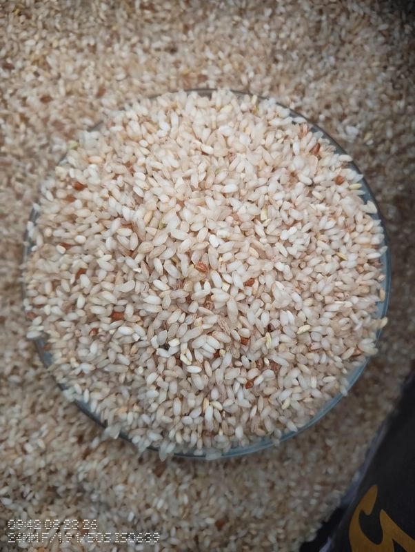 Sampige Rice