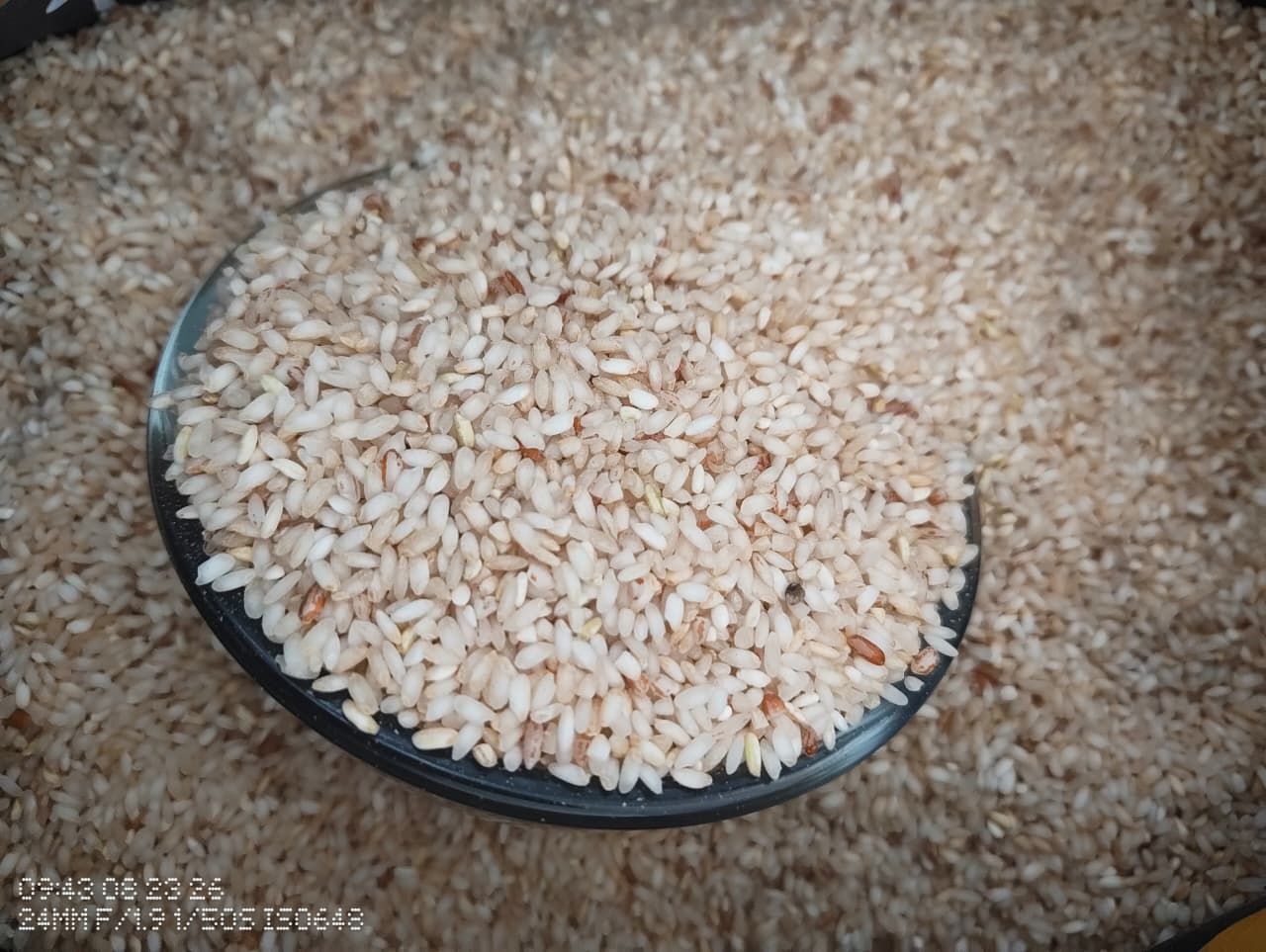 Sampige Rice