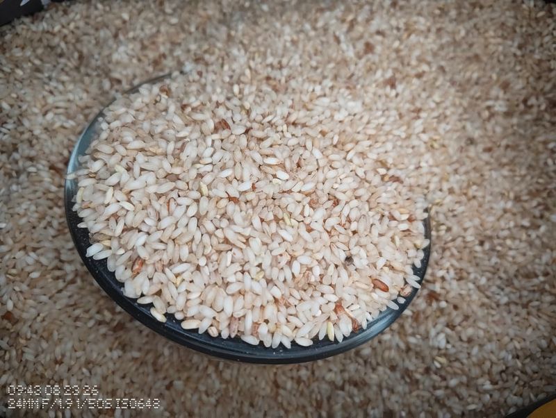 Sampige Rice
