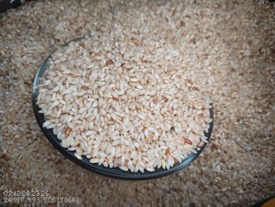 Sampige Rice