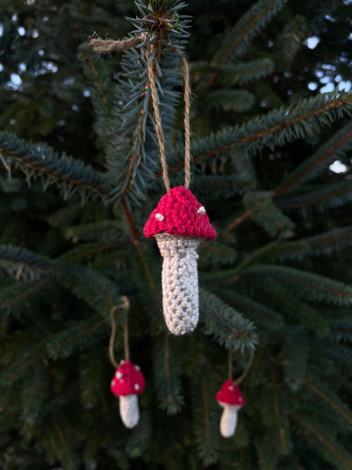 Toadstool Crochet kit