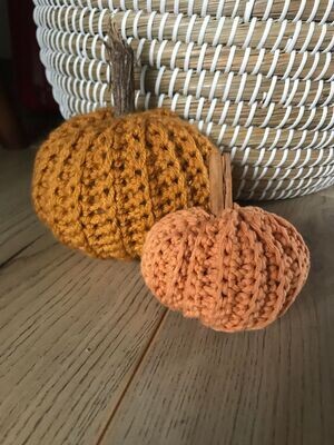 Autumn Crochet Pumpkin Kit