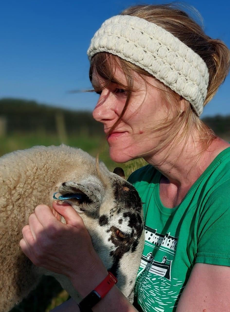 The Wool Experience Day